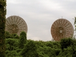 1 base dishes.jpg